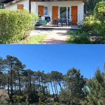 T4 Piscine Et Tennis Chalet Ondres